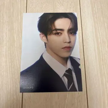 SEVENTEEN 에스크 타워 레코드 플라이어 DREAM