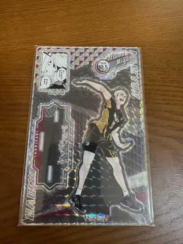 생일 명장면 디오라마 피규어 2024 미야 아츠무 하이큐