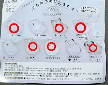 우리 아이 털뭉치 강아지 6종류