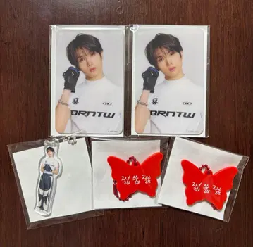 NCT DREAM 드림쇼 4 랜덤 토이 지성