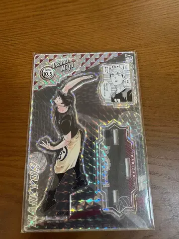 생일 명장면 디오라마 피규어 2024 미야 오사무 하이큐