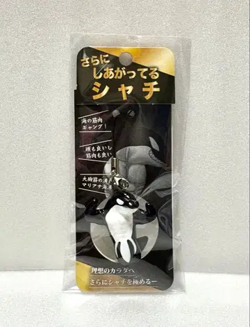 스마 시 월드 더욱 완성된 범고래