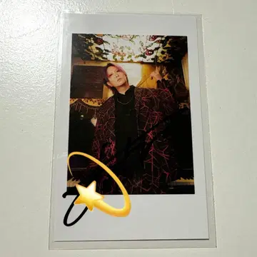 아라키 폴라로이드풍 컬렉션 사인 포함