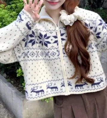 노르딕 무늬 집업 니트탑