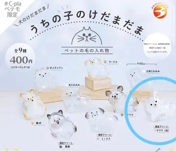 우리 집 털뭉치 #C-pla 페테모 한정판 치와와 (화이트)