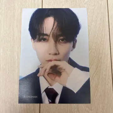 SEVENTEEN 정한 DREAM 타워 레코드 플라이어