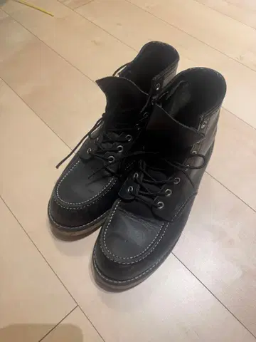 레드윙 8179 아이리쉬 세터 (블랙)