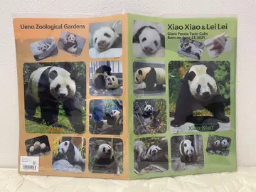 우에노 동물원 자이언트 팬더 샤오샤오 레이레이 클리어 파일