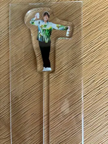 타니야마 키쇼 이이치코 KPF2025 아크릴 마들러