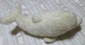 ALFA 봉제 인형 화이트 돌고래