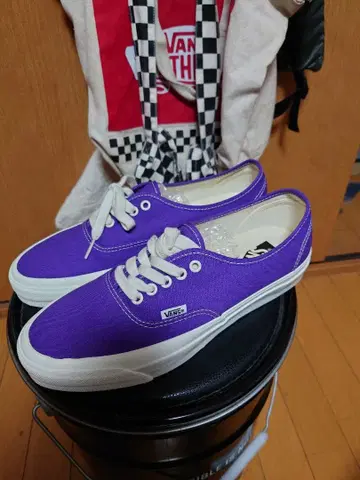 VANS 반스 MTE Authentic Reissue 44