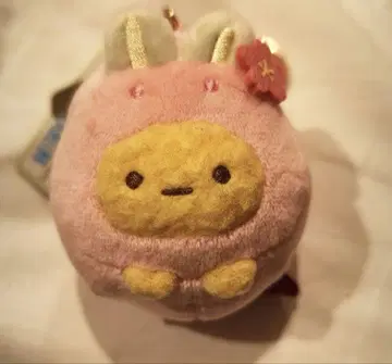 스미코구라시 스미코구라시당 이오리 에비후라이노싯포 토끼만주