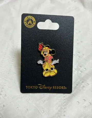 디즈니씨 레일 미니 핀 배지