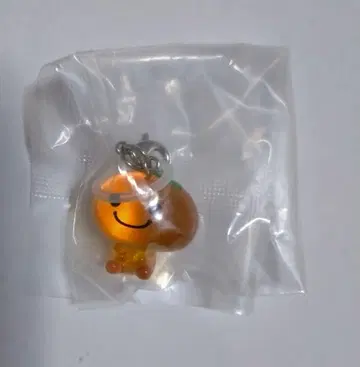 산엑스 유니버스 마스코트 참 미캉보야