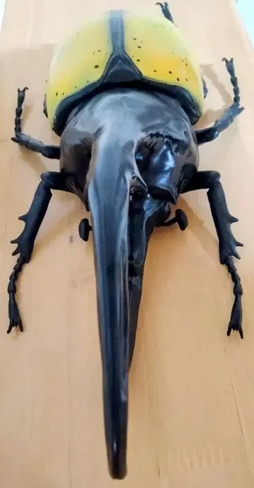 헤라클레스 장수풍뎅이 MEGA 피규어 곤충 큰 사이즈 약 38cm!!