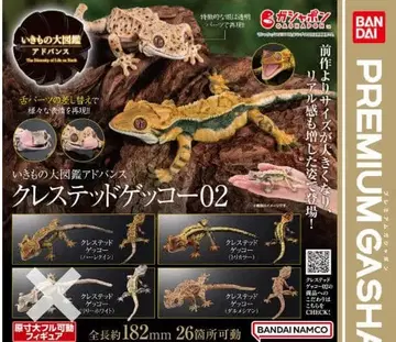 생물대도감 어드밴스 크레스티드 게코 02 3종류 세트 새상품