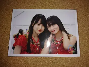 엔도 사쿠라 카키 하루카 생사진