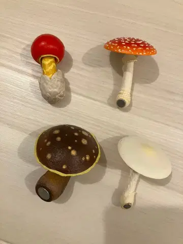 버섯 마그넷 4종 묶음 판매