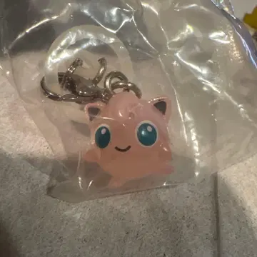 포켓몬 푸딩 메지루시 액세서리