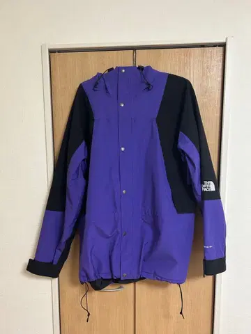 THE NORTH FACE 마운틴 후드티 1994 XL