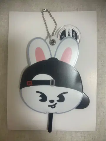 스키즈 리노의 키링