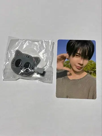 txtFC 트레이딩 카드 태현 다고냥 헤어 클립