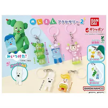 메지루시 액세서리 2 미이츠케타! 컴프 세트