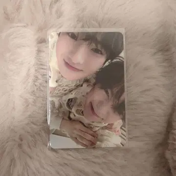 NCTWISH 사쿠야 료 steady MD 트레이딩 카드