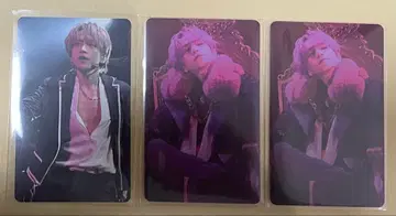 우라타누키 타누완 포토 카드 업 업데이트 update