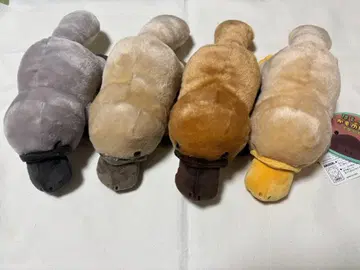 가장자리나 엉덩이 없는 것만으로도 전 4종 세트