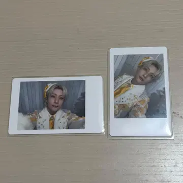 팬더드래곤 요타 하피카