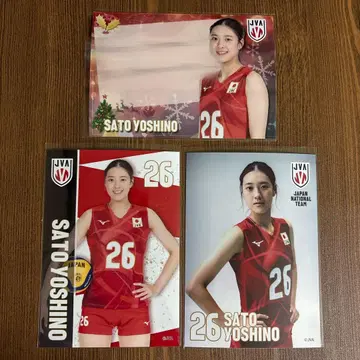 사토 요시노 선수 배구 여자 일본 대표 공식 브로마이드 L판 3장 세트