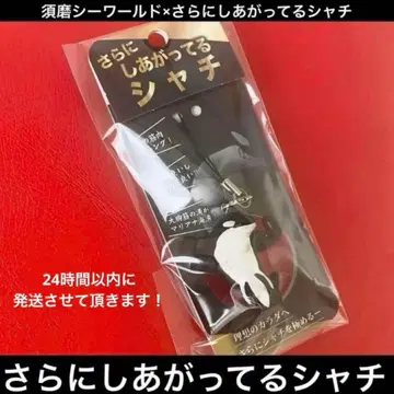 [새상품] 더욱 완성된 범고래 미개봉 새상품 스마 시월드 이와모토 테루