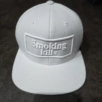 FR2 Smoking kills 야구 모자