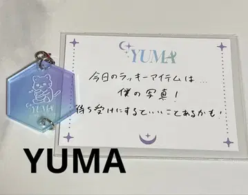 &TEAM CAFE 이어지는 참과 운세 카드 YUMA