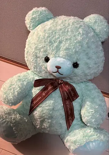 12/30까지!! 민트 그린 곰 봉제 인형
