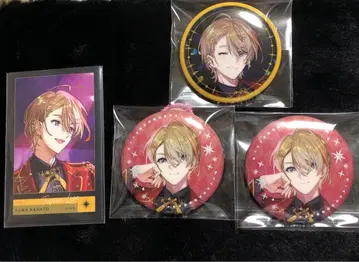 니지산지 후라 소토 IMPACT 태양조 폴라로이드