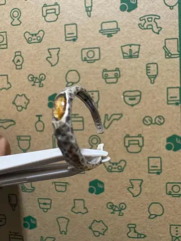 기생 운석의 여왕 이밀락 운석 반지 Imilac 최고 품질 행운