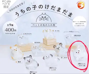 우리 아이의 털뭉치