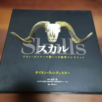 스컬 : 아란 대들리의 놀라운 두개골 컬렉션