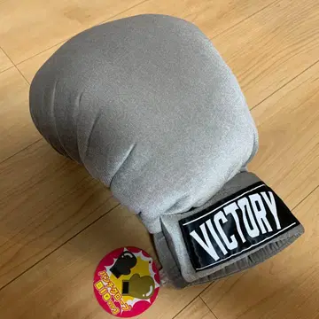 VICTORY 펀치 그로브