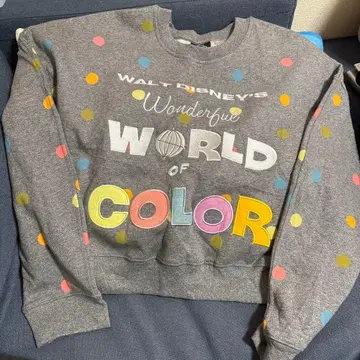 디즈니 트레이닝복