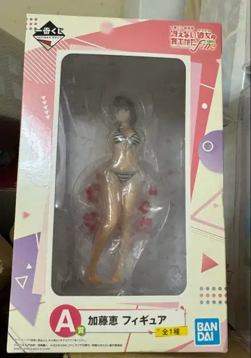 사에카노 카토 메구미 피규어 A상