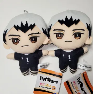 하이큐!! 미니 콜렉션! 봉제 인형 5 키타 신스케