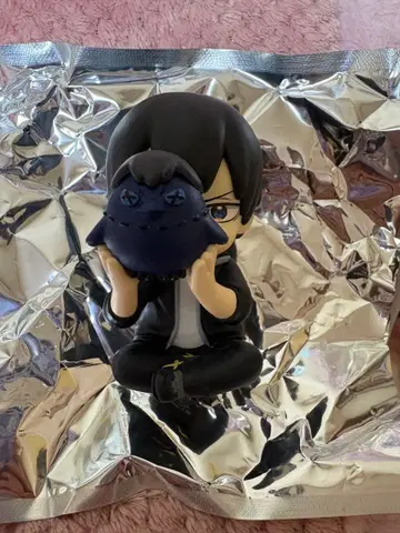 하이큐 PERIHAPI 페리하피 숨바꼭질 피규어 카게야마 토비오