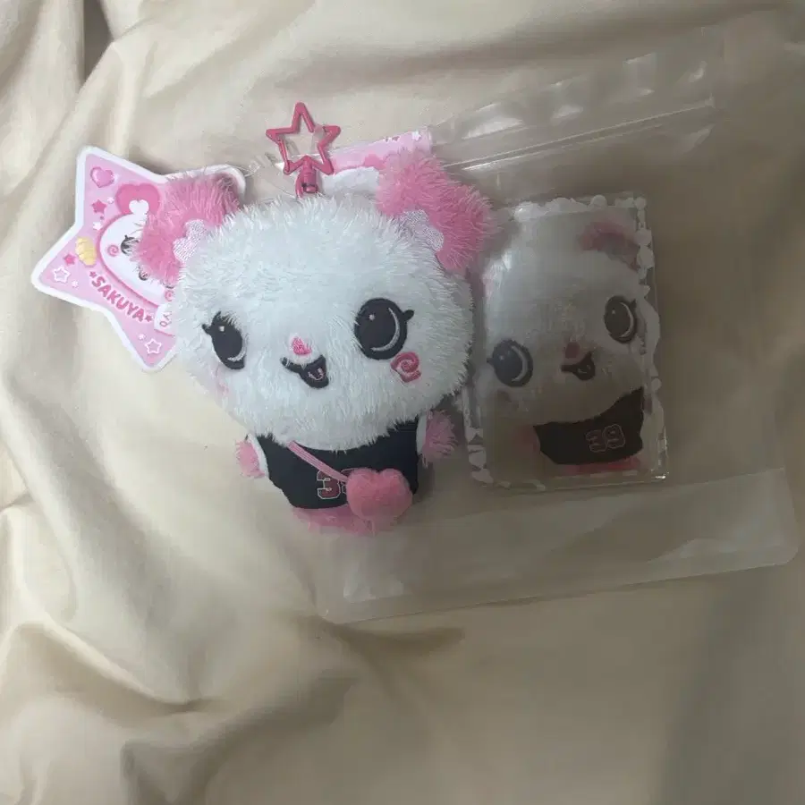 NCT | 엔시티 Nct Wish random color wish doll riku kuri pop up md