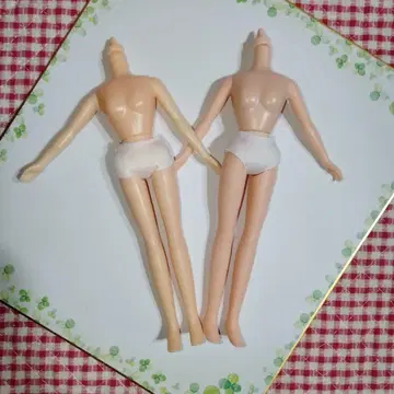 리카짱의 바디 2체 세트입니다.