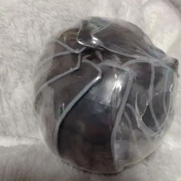 익명 배송 생물대도감 어드밴스 쥐며느리 블랙 곤충 피규어