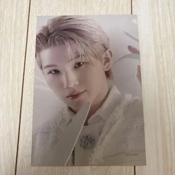 SEVENTEEN 우지 아이노치카라 타워 레코드 플라이어