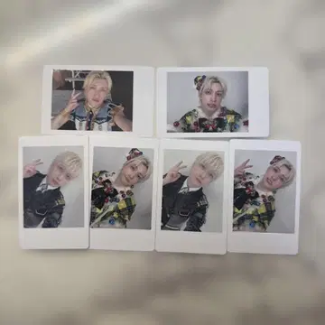 파라곤 요타 하피카